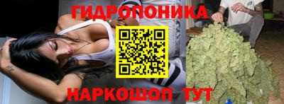 молекула духа Тулун